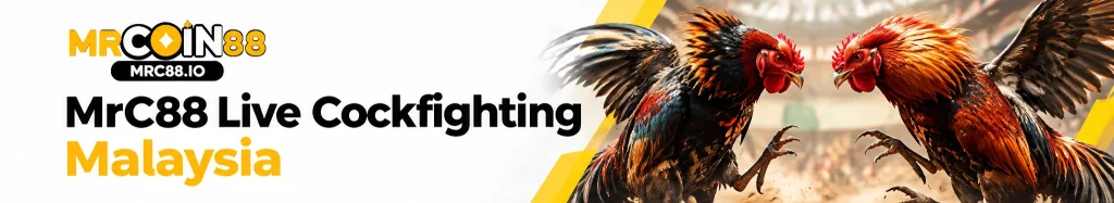 Live cockfighting at mrc88